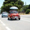 Montevago 2010 (414)